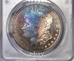1879-S Morgan Dollar PCGS MS63 DMPL CAC Rainbow Toned Rattler Deep Mirror PL