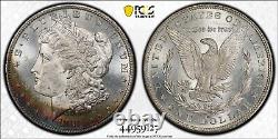 1879-S Morgan Silver Dollar PCGS MS64 CAC Gorgeous PL Crescent Toner! PQ+
