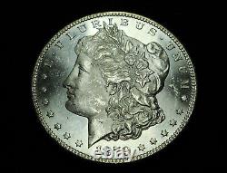 1879 S Morgan Silver Dollar Satin Fields with Vivid RWB Reverse Toning