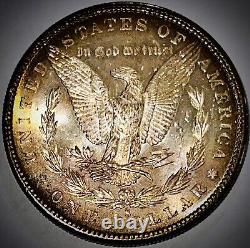 1880-S Morgan Silver DollarGreat Toning-Mint State-Beautiful Uncirculated