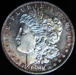 1880 S Morgan Silver Dollar VAM #64 Choice BU Nice Original Surfaces
