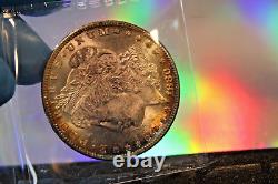 1880 S (large S) $1 Morgan Silver Dollarhigh Grader Would Grade Exceptional