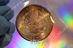 1880 S (large S) $1 Morgan Silver Dollarhigh Grader Would Grade Exceptional