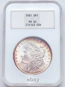 1881 NGC Fatty MS64 Morgan Silver Dollar 143006