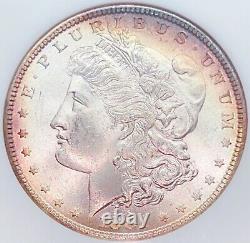 1881 NGC Fatty MS64 Morgan Silver Dollar 143006