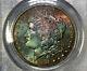 1881-s Morgan Dollar Pcgs Ms63 Cac Colorful Emerald Peach Red Rainbow Toned