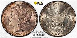 1881 S Morgan Dollar PCGS MS63 Gorgeous TONING SHIPS FREE