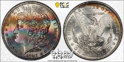 1881-S Morgan Dollar PCGS MS65+ Ultra Lustrous Color Gem Rainbow Toned withVideo