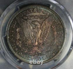 1881-s Morgan Silver Dollar Toned Collector Coin Pcgs Ms64 Free Shipping