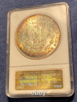 1882 Morgan Silver Dollar Anacs Ms 63 Color Toned Coin First Generation Holder