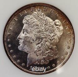 1882 Morgan Silver Dollar Grading GEM BU DMPL in Old PCI Holder Gorgeous Coin