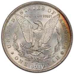 1883-O Morgan Dollar PCGS MS64+ CAC Iridescent Full Color Rainbow Toned withVideo