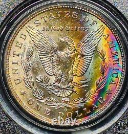 1883 O Morgan Silver Dollar PCGS MS63 Rainbow Toned Monster Pink & Blue Toning