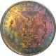 1883 Pcgs Ms63 Bright Rainbow Color Toned Morgan Silver Dollar