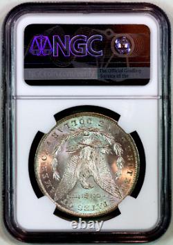 1883-o Ms66 Ngc Morgan Silver Dollar Premium Quality Superb Eye Appeal