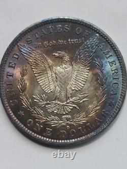 1884 O Morgan Dollar Bu Monster Toned