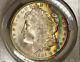 1884-o Morgan Dollar Pcgs Ms63 Vibrant Radiant Color Rainbow Toned Withvideo
