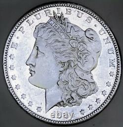 1884 S Morgan Dollar? Impossible Find? Semi Proof Like? King Rarity? Wow