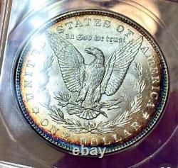 1884 US Morgan Silver Dollar $1 -Anacs MS-63