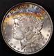 1886 Morgan Silver Dollar Fresh From An Original Collection-lot Aa 7603 Toned