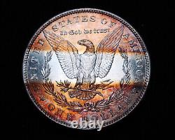 1886 P Morgan Silver Dollar with Vivid Striped Toned Reverse Free S&H