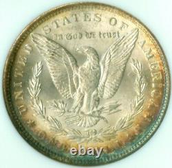 1888 MS 64 Morgan Silver Dollar NGC MS-64TONED (2229183)
