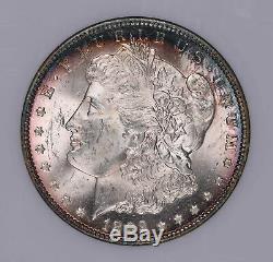 1892 O Morgan Silver Dollar Coin Toned Fatty Holder Ngc Ms63 #528-013tjr