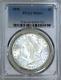1896 Morgan Silver Dollar Pcgs Ms64 Blast White Frosty Luster Just Graded #a14a