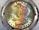 1896-p Morgan Dollar Pcgs Ms65 Absolute Stunner! Gorgeous Colorful Rainbow Toned