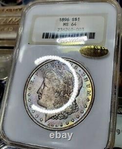 1896 P Morgan Silver Dollar NGC MS-64 Star Designation Toned Colorful CAC Fatty