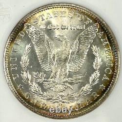 1904-O Morgan Silver Dollar $1 ANACS MS63 LUSTERRIFIC & TASTY