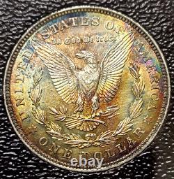 1921 $1 Morgan Silver Dollar- Gorgeous Rainbow Toning! WOW PIECE