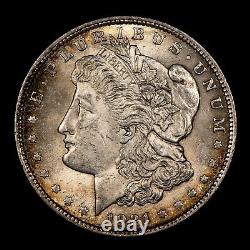 1921 $1 Morgan Silver Dollar Rainbow Toning SKU-B4201