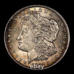 1921 $1 Morgan Silver Dollar Rainbow Toning SKU-B4201