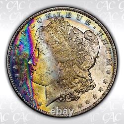 CACG MS65 CAC 1884-O Morgan Dollar Iridescent Bank Bag Color Rainbow Toned