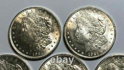 Lot of 5 BU 1921-P $1 Morgan Silver Dollars, Coins are 100 Years Old