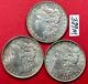 Lot Of Three Morgan Silver Dollars Coins Extra Fine / Almost Uncirculated 389m