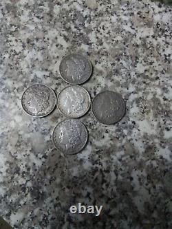 Morgan Silver Dollar Lot (5)