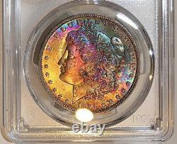 Rainbow Toned 1884-O Morgan Dollar PCGS MS65 Ultra Vibrant Full Obverse Color