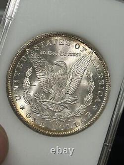 SASA 1885-CC Morgan Silver Dollar Uncirculated