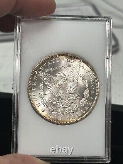 SASA 1885-CC Morgan Silver Dollar Uncirculated